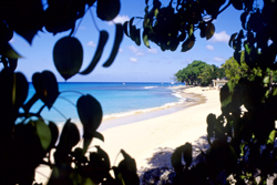 Barbados