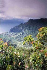 Hawaii