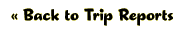 Back to Trip Reports